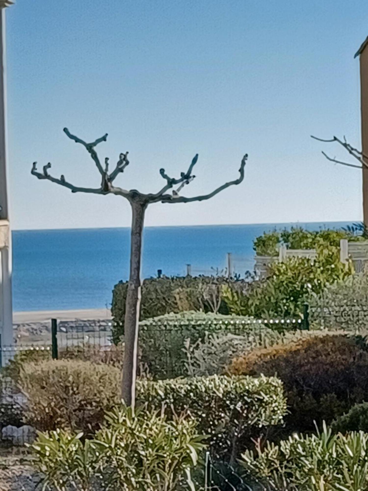 Plain-Pied Jardin 6 Personnes Clim Vue Mer Parking Wifi Terrasse Piscine Dans La Residence Saint-Pierre-la-Mer  Exteriér fotografie